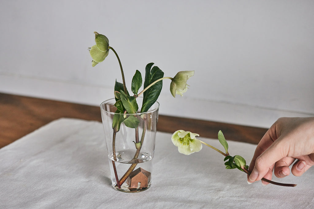 0123_ichijitu_194_1024x.jpg?v=