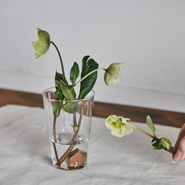 0123_ichijitu_194_600x600_crop