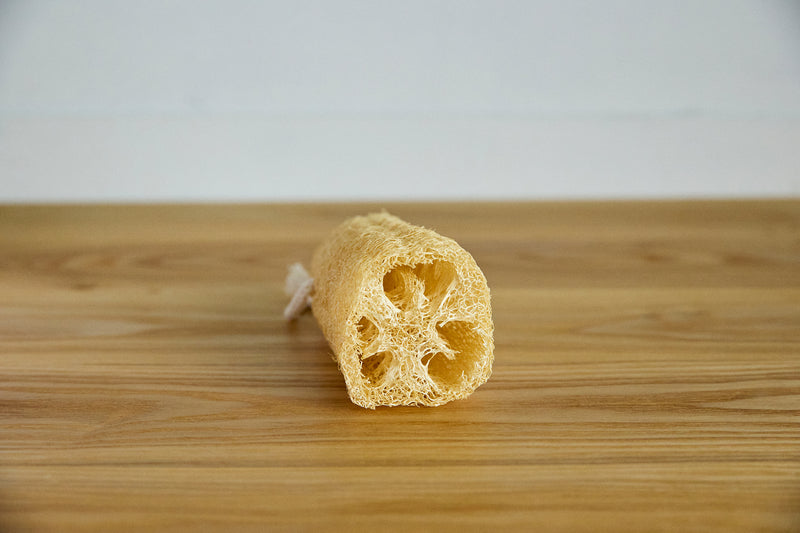 断面まで愛らしい。マイクロプラスチックを出さないから地球にやさしい、エコなスポンジです。