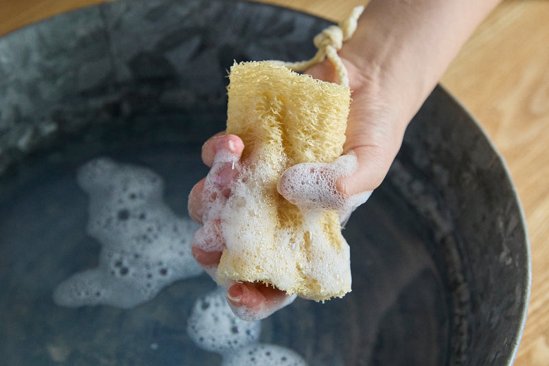 ボディ用や、食器用スポンジとして使うときは、30秒ほど水に浸してやわらかくしてから使います。