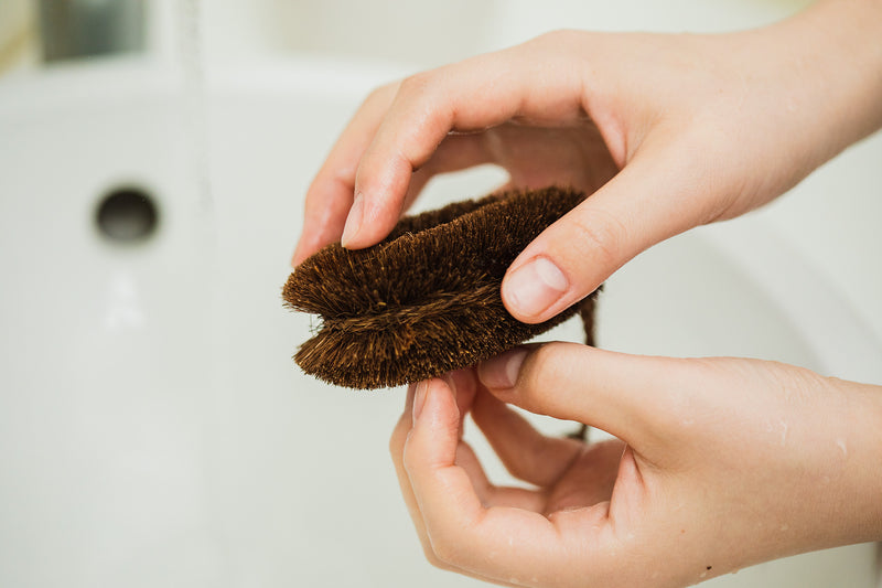 爪の間や指の間も、棕櫚の繊維でやさしくしっかり洗うことができます。