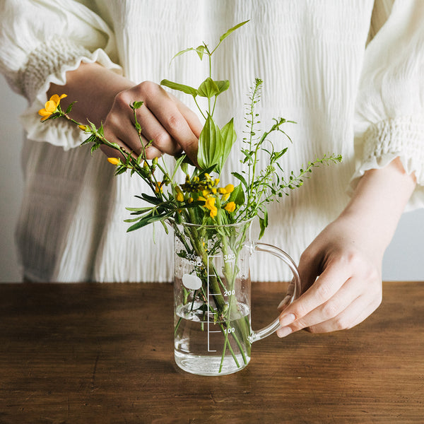 HARIO（ハリオ）の取っ手付きトールビーカー 300ml – いちじつ