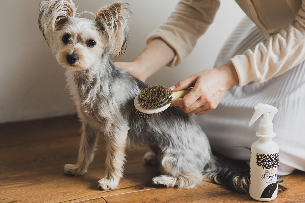 愛犬・愛猫に – いちじつ - ともに生きる、道具と日用品