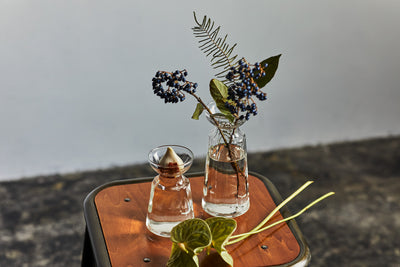 リューズガラス グロースライン バルブボトル ロリエフ L